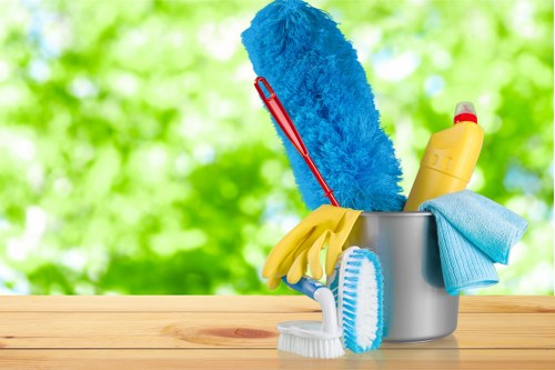Professional pet stain odour removal in Belvedere for fresh carpets