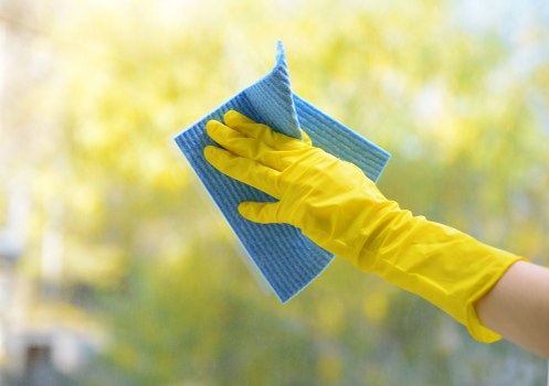 Carpet cleaning pricing discussion with clear estimates for a Belvedere property
