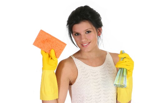 Deep carpet treatment for pet odour removal in Belvedere home