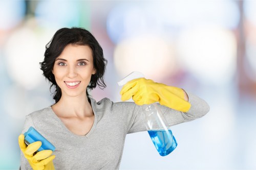 Professional rug cleaning equipment and fiber care process