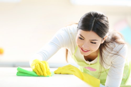 Detailed carpet cleaning process showing care and stain removal methods