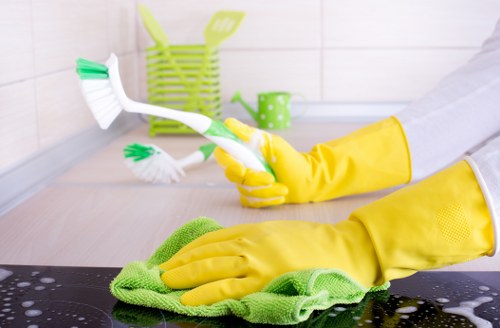 Professional curtain cleaning in Belvedere for fresh and dust-free drapes