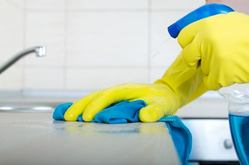 Technician performing mattress sanitizing in Belvedere home