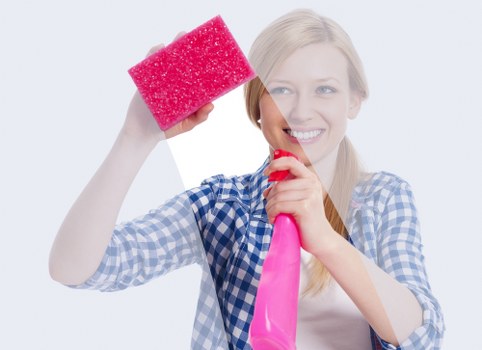 Cleaning pet urine stains and odours from upholstery in Belvedere