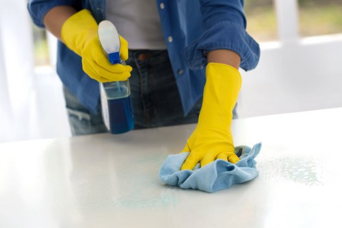 Cleaner inspecting carpet fibres before treatment at a customer property
